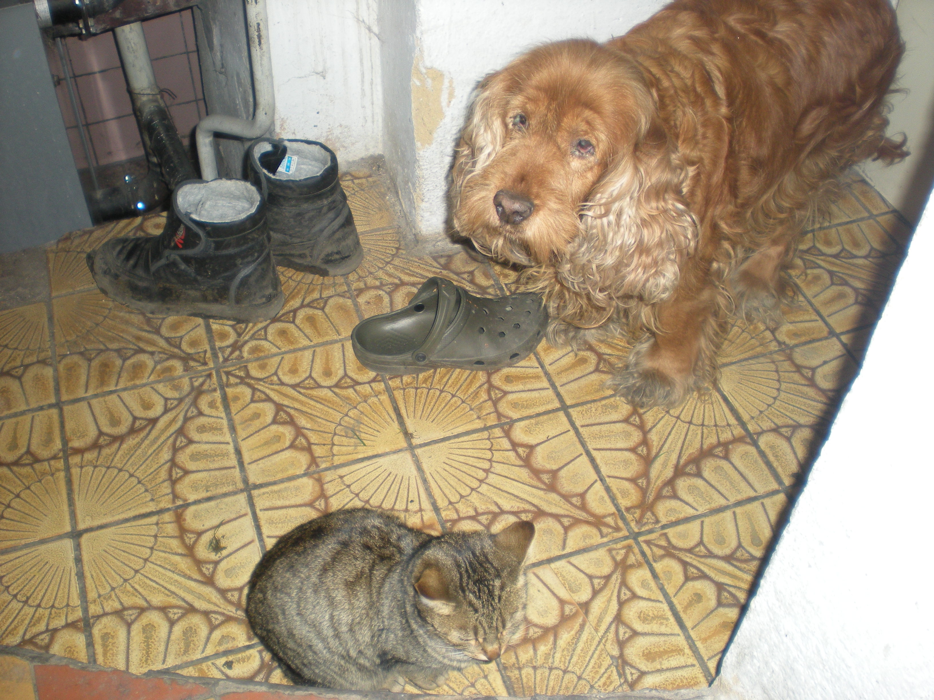 cilka 03.jpg
